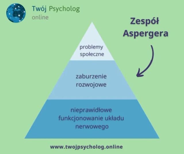 Jak rozpoznać aspergera u dorosłego - objawy, które musisz znać