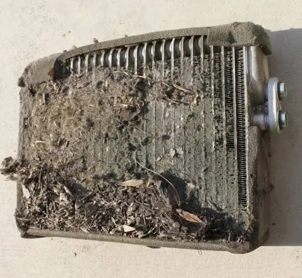 Objawy uszkodzonego parownika klimatyzacji - jak je rozpoznać?